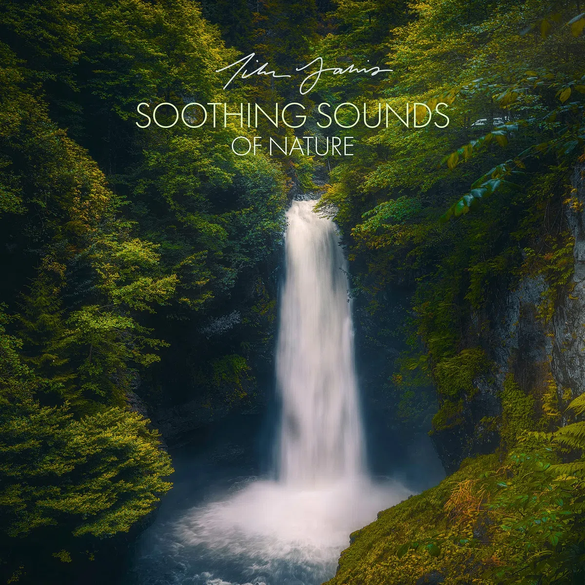 Tim Janis Sonidos relajantes de la naturaleza Audio Relajación, meditación, sueño y alivio del estrés, sonidos tranquilos de la naturaleza, música relajante, música relajante, ambiente de spa para meditación, yoga y sueño reparador profundo