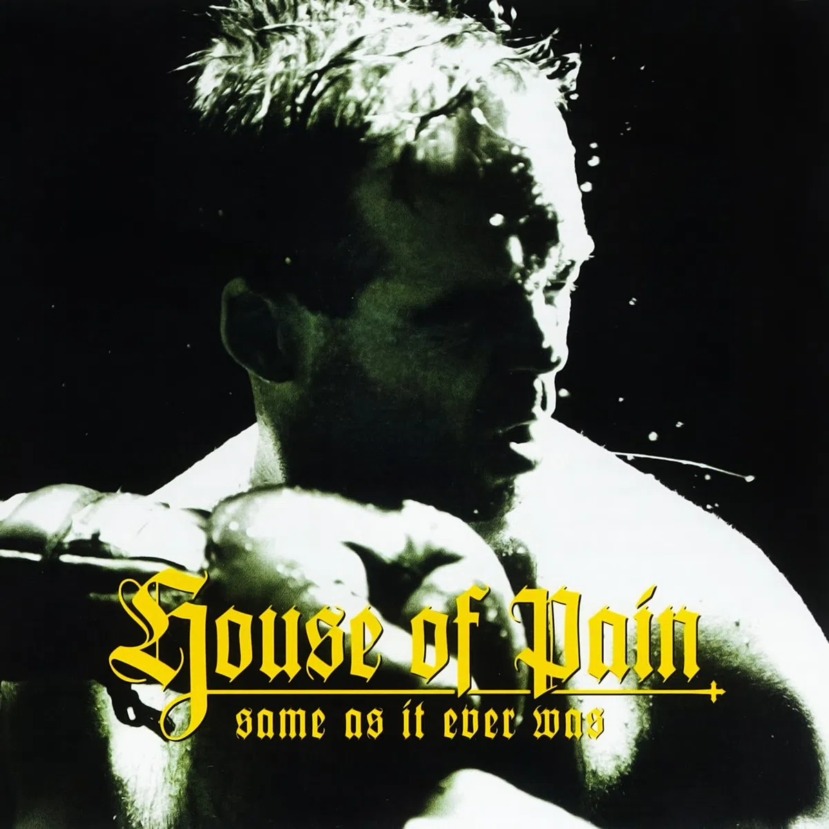 Same as It Ever Was (30th Anniversary)