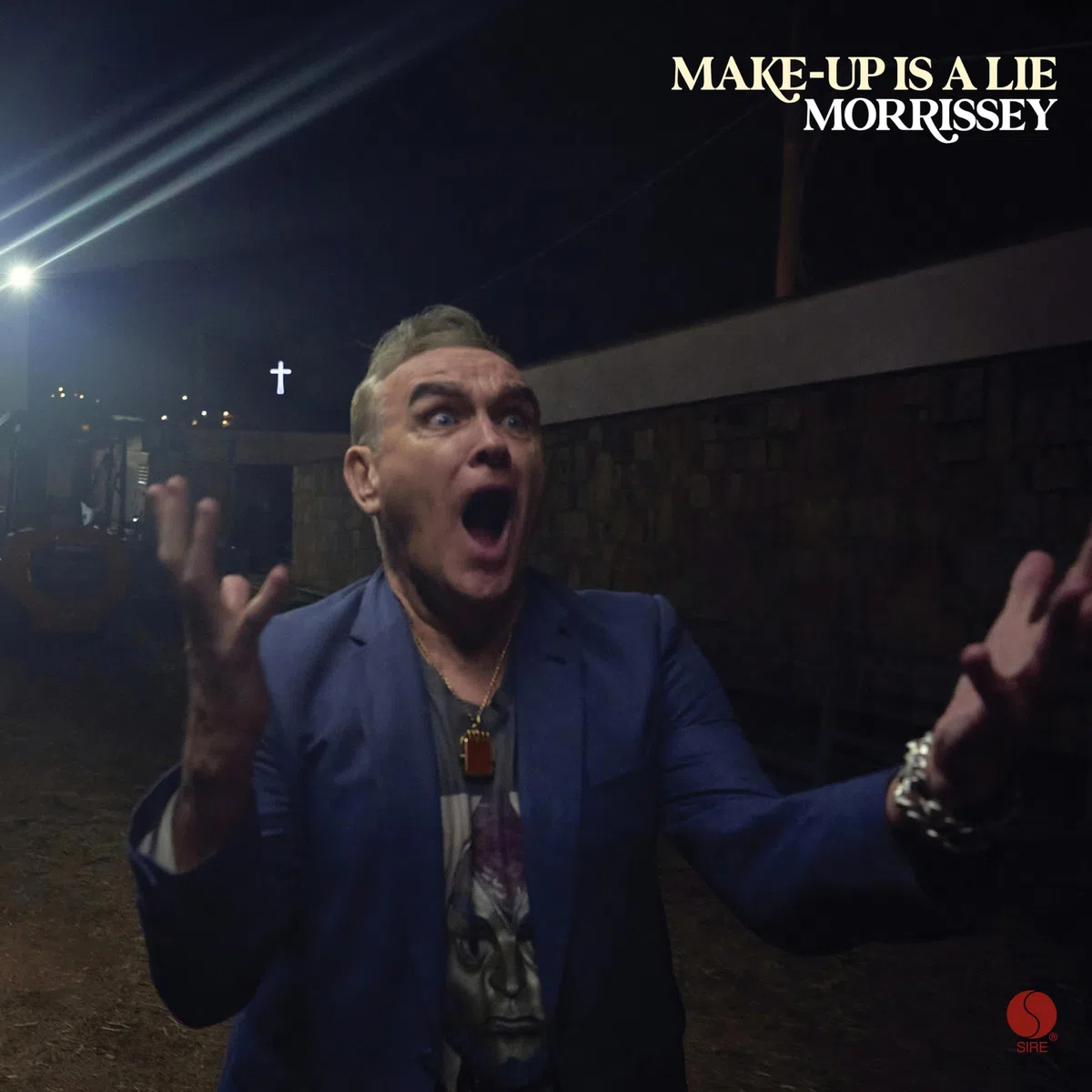 Make-Up Is A Lie ición Color Picture Disc)
