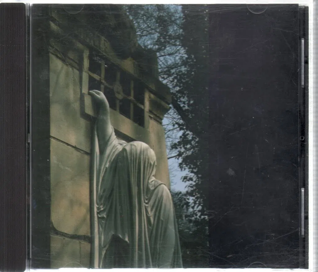 Within the Realm of a Dying