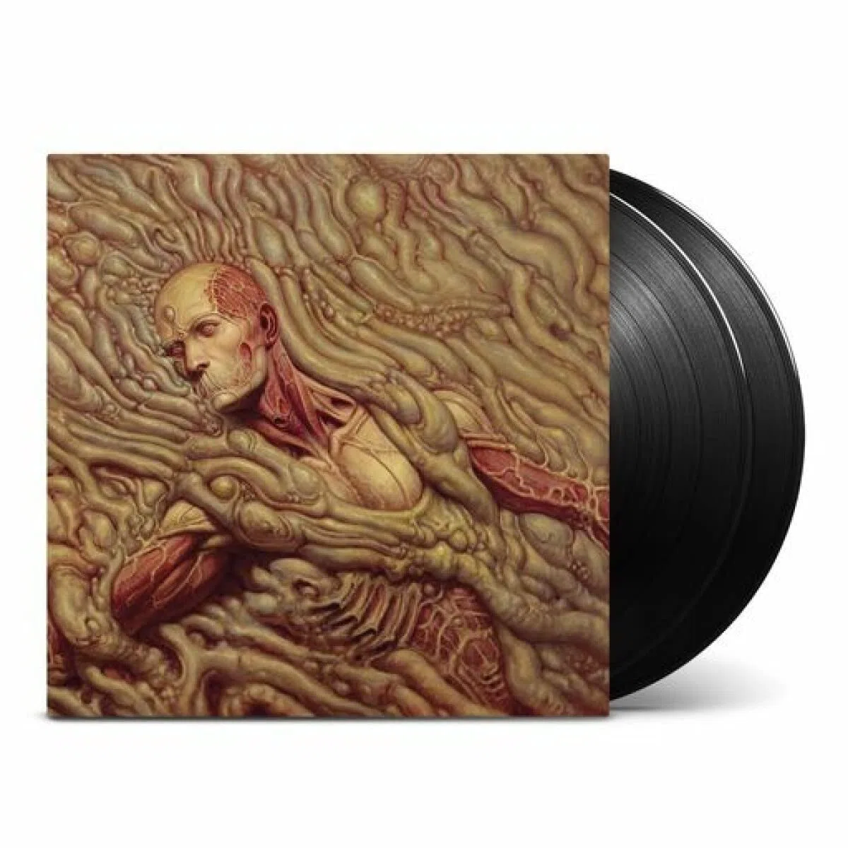 SCORN (DELUXE (ORIGINAL