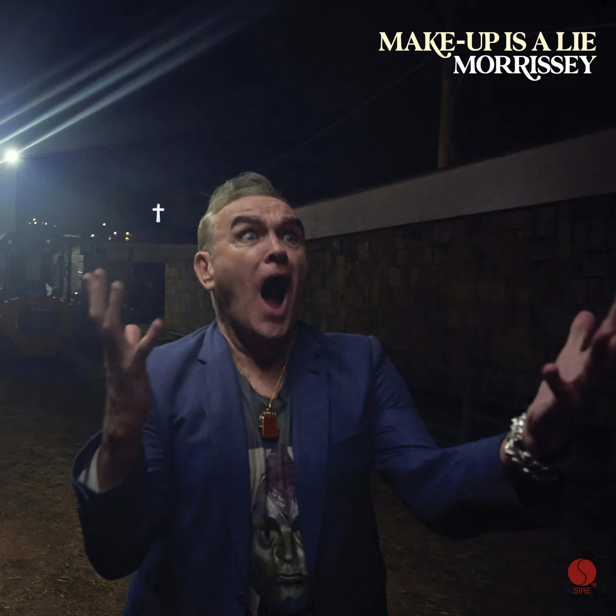 Make-Up Is A Lie ición Color Picture Disc)
